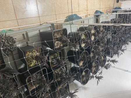 الشرطة تضبط مخدرات في حيفا وتعتقل مشتبه 